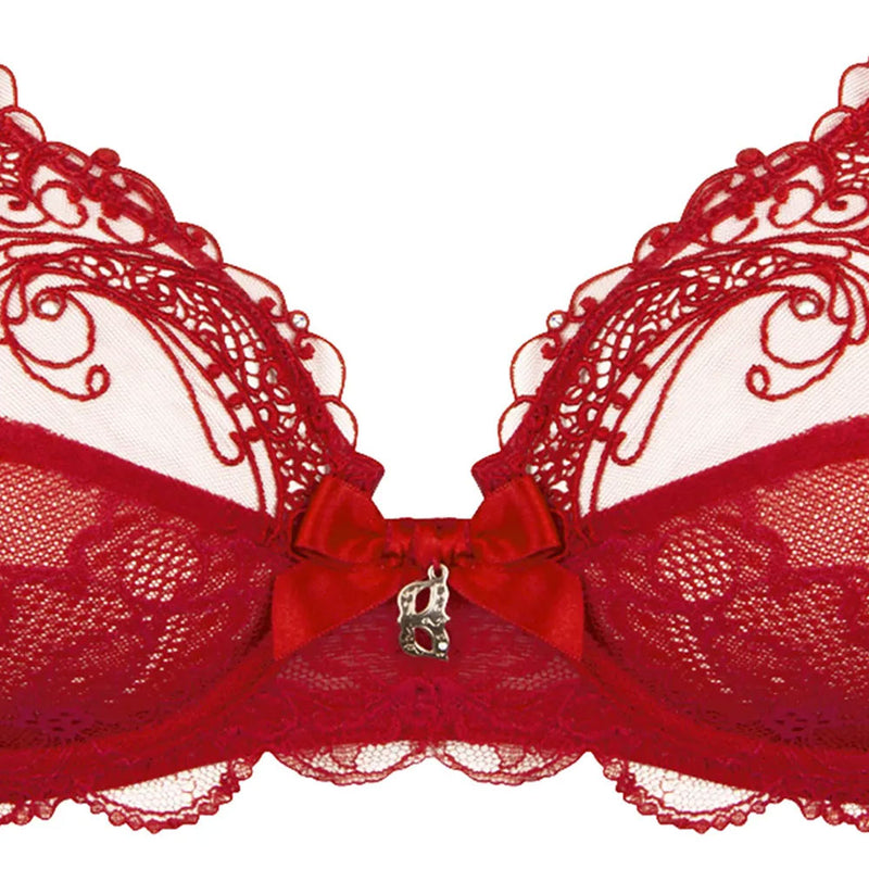 Lise Charmel 'Soir de Venise' Red Full Cup Bra (pack shot, front detail).