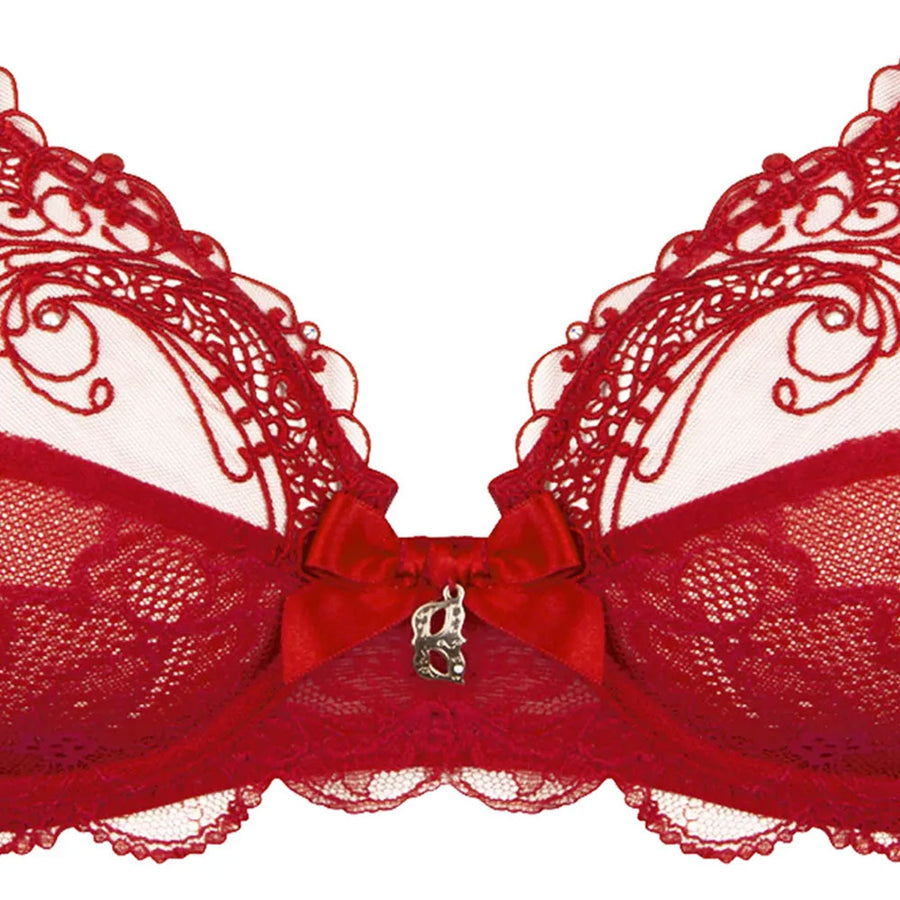 ☆国内発送☆Lise Charmel Soir de Venise ハイウェスト Lise Charmel lingerie - 'Soir de Venise' in Rouge | Sandra Dee
