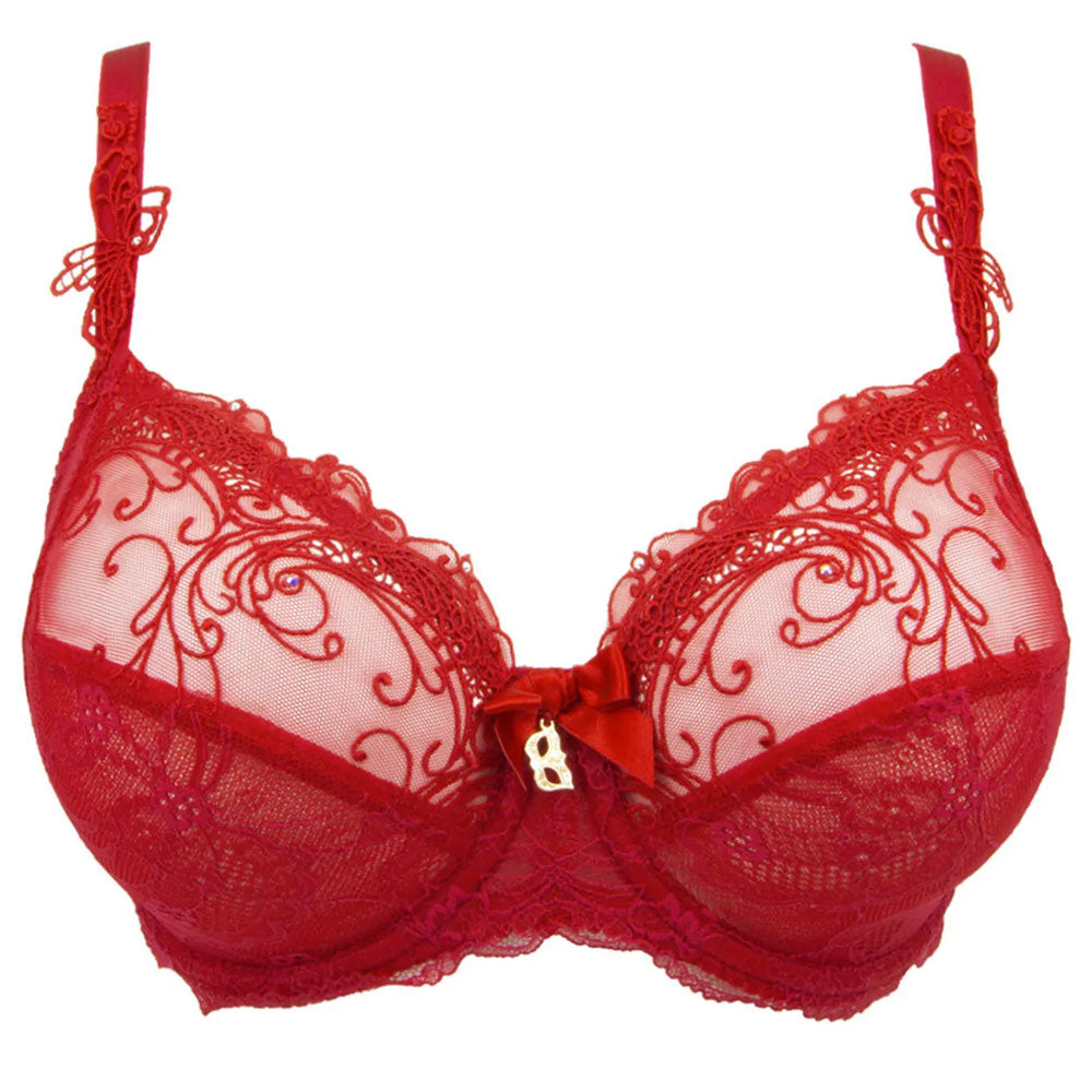 ☆国内発送☆Lise Charmel Soir de Venise Lace low-cut hipster Lise Charmel lingerie - 'Soir de Venise' in Rouge | Sandra Dee