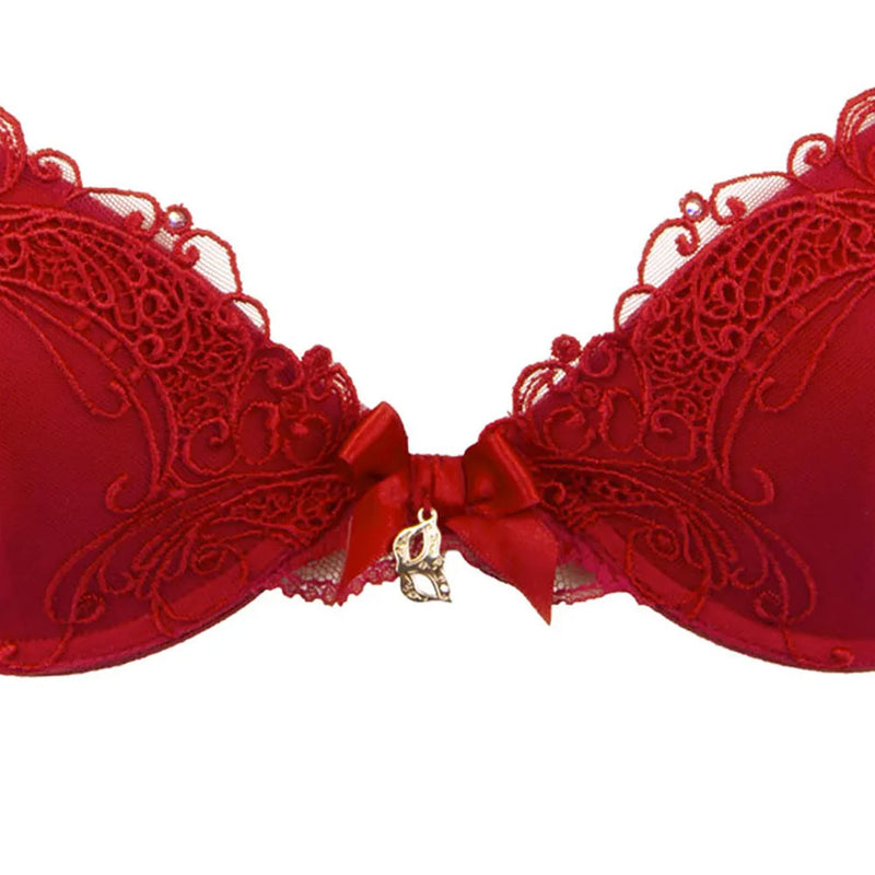 Lise Charmel 'Soir de Venise' Red Light Contour Bra (pack shot, front detail).