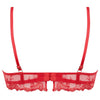 'Source Beauté' Glam Push-up Bra in Hibiscus Beauté (Coral), by Lise Charmel (pack shot, back).