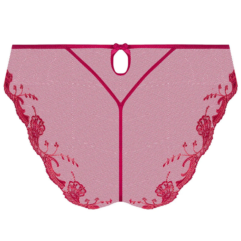 'Splendeur Soie' Raspberry Pink Silk Italian Brief, by Lise Charmel (pack shot, back view).